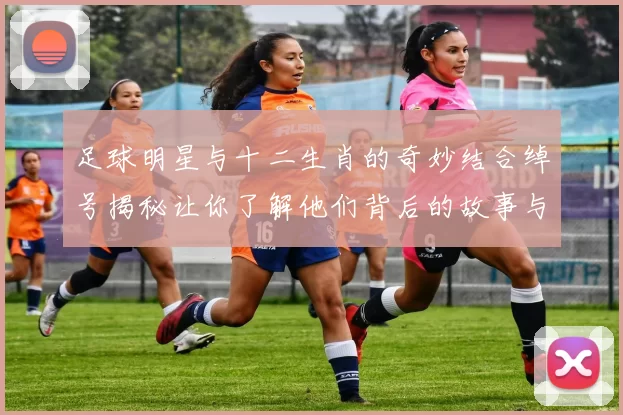 足球明星与十二生肖的奇妙结合绰号揭秘让你了解他们背后的故事与个性