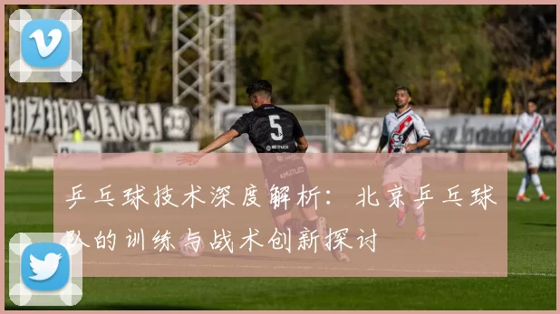 乒乓球技术深度解析：北京乒乓球队的训练与战术创新探讨