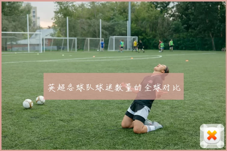 英超各球队球迷数量的全球对比