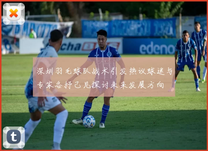 深圳羽毛球队战术引发热议球迷与专家各抒己见探讨未来发展方向