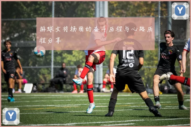 排球女将杨丽的奋斗历程与心路历程分享